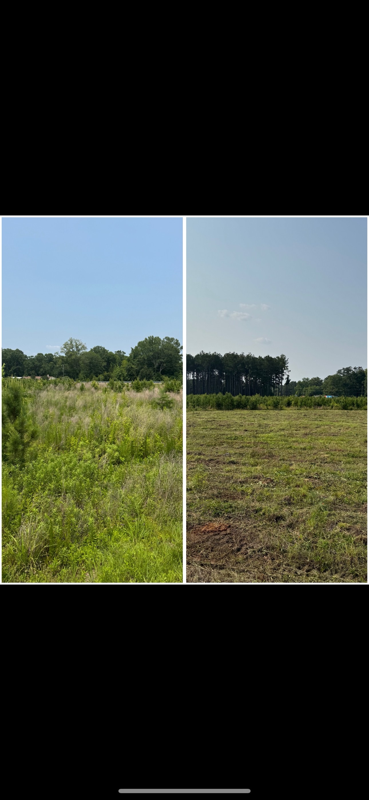 Land management project site